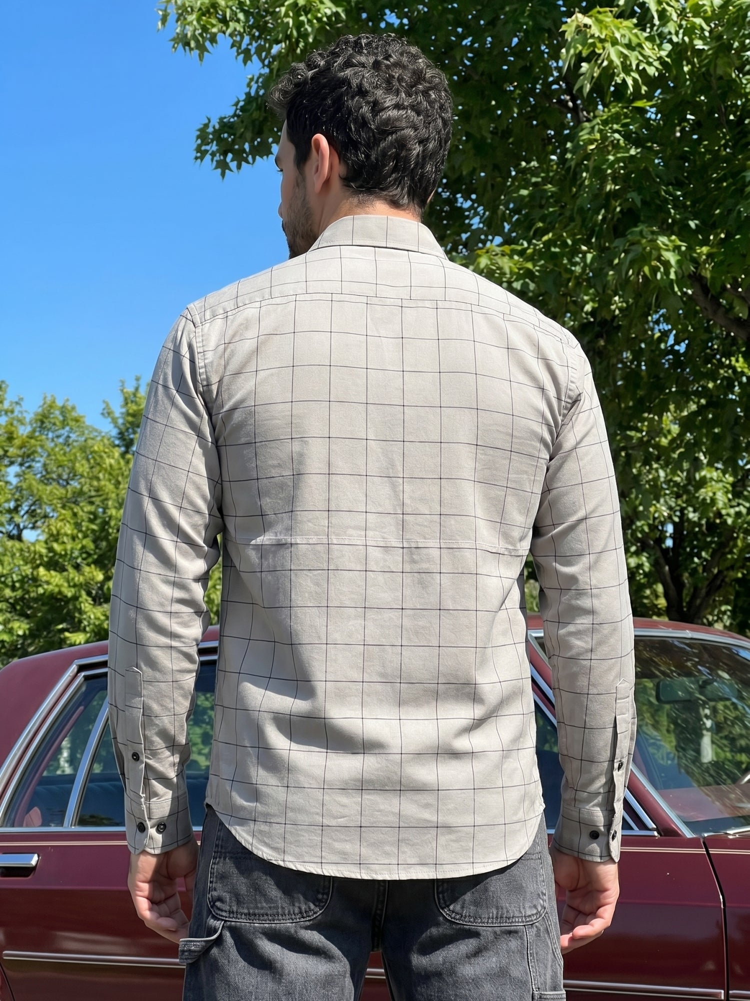 Men's Cotton Checked Casual Shirts