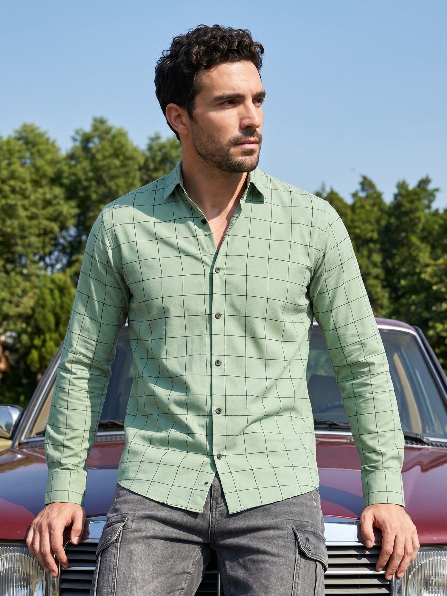 Men's Cotton Checked Casual Shirts