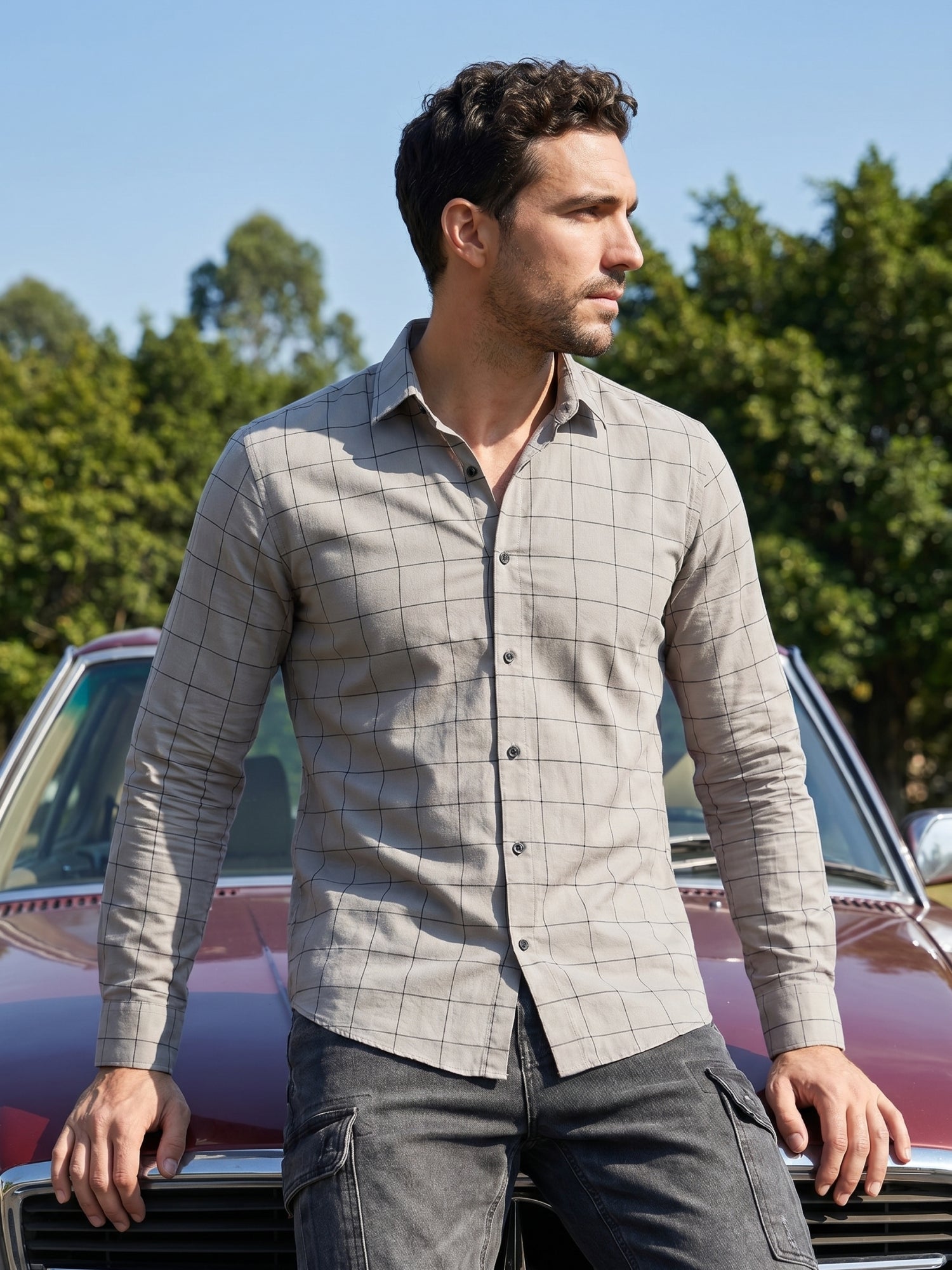 Men's Cotton Checked Casual Shirts