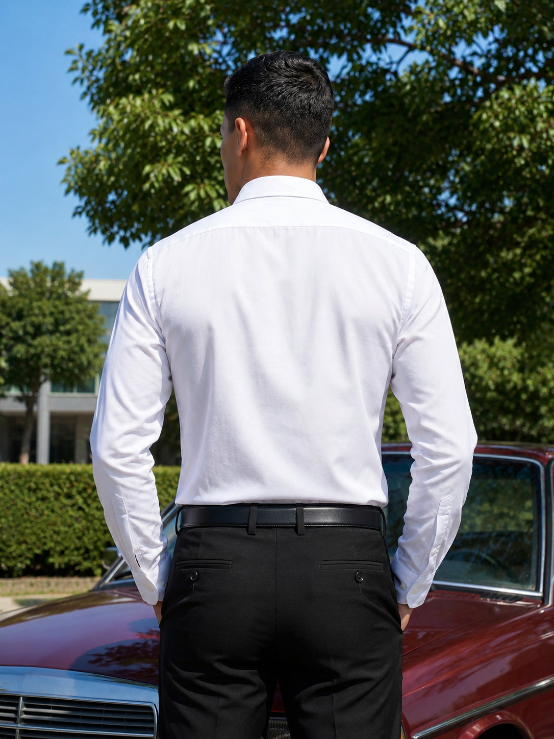 Cotton Solid Formal Shirt for Mens